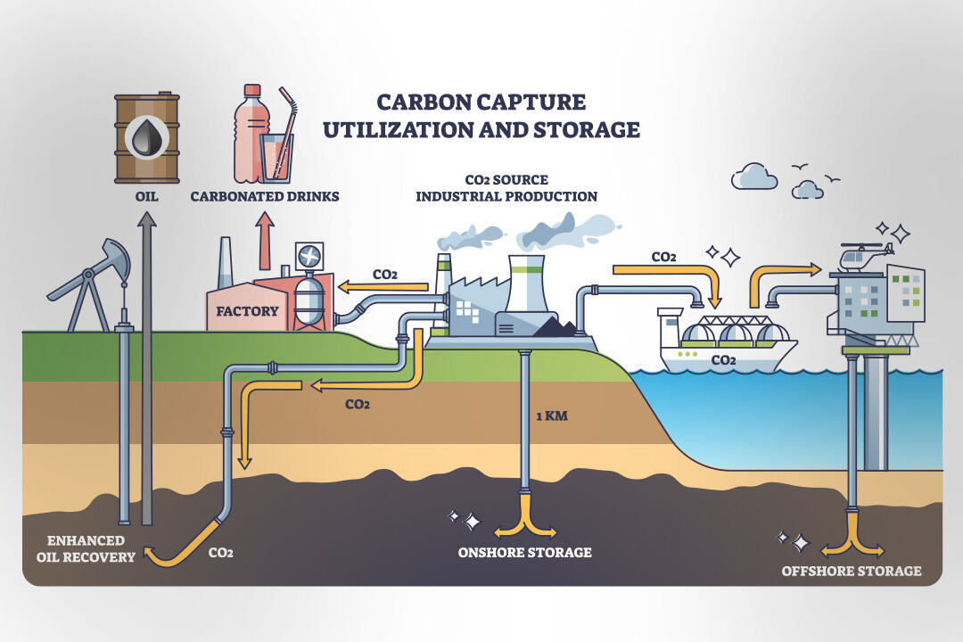 carbon capture case study.